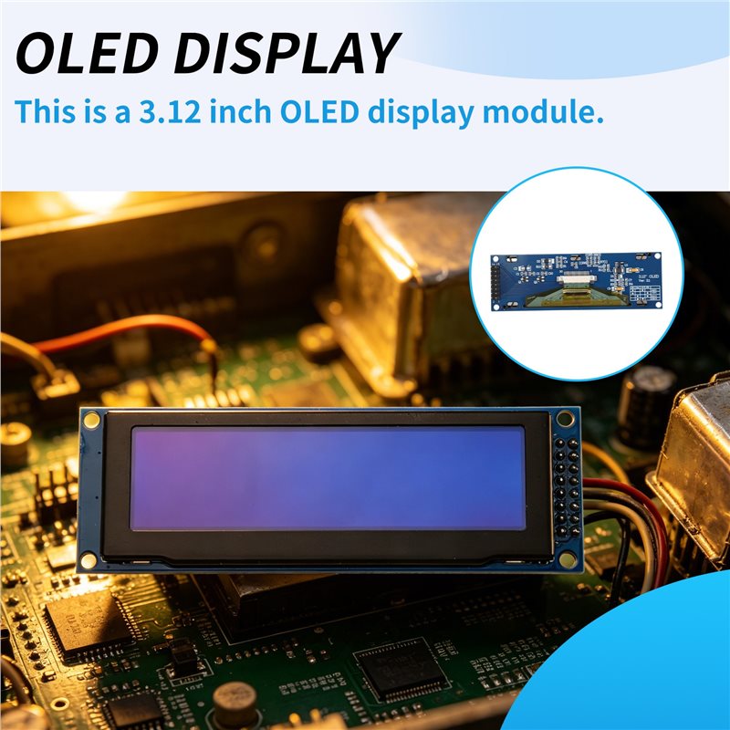 3.12 Inch OLED Display 256X64  - Oled Display Module ulasan dan harga